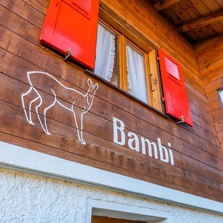Chalet Bambi "Marchenhaft" Daire Grächen Dış mekan fotoğraf