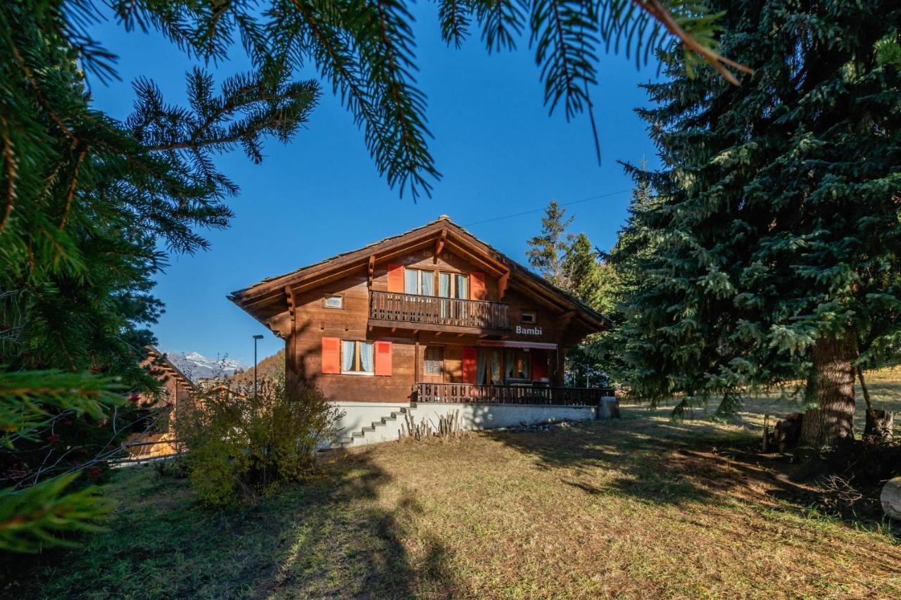Chalet Bambi "Marchenhaft" Daire Grächen Dış mekan fotoğraf